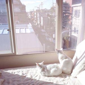 做瑜伽的妈妈林雅卿小说免费阅读
