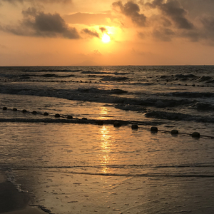 做瑜伽的妈妈林雅卿小说免费阅读
